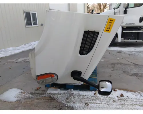 FREIGHTLINER CASCADIA 113 HOOD