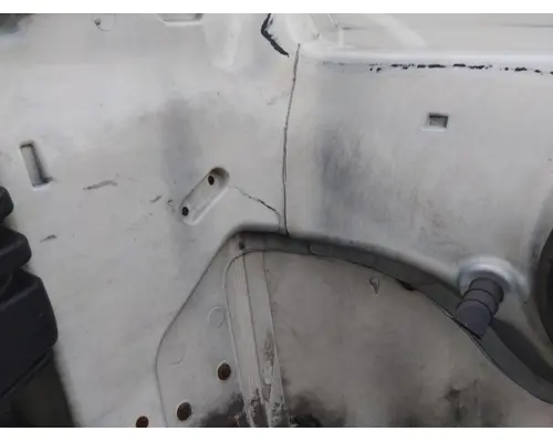 FREIGHTLINER CASCADIA 113 HOOD