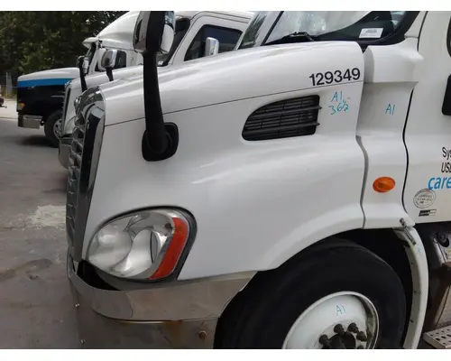 FREIGHTLINER CASCADIA 113 HOOD