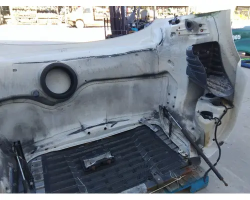 FREIGHTLINER CASCADIA 113 HOOD