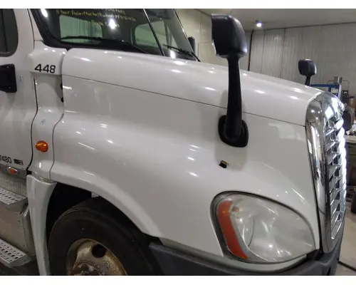 FREIGHTLINER CASCADIA 113 HOOD