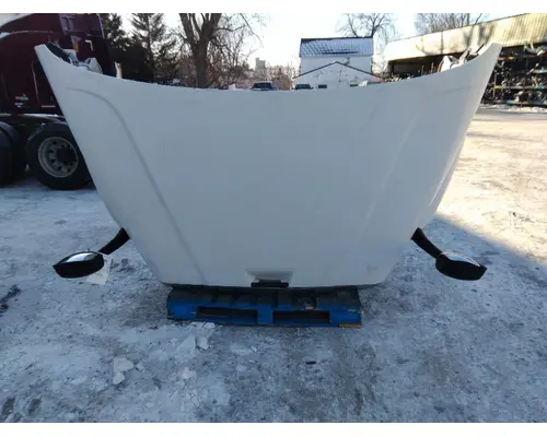 FREIGHTLINER CASCADIA 113 HOOD