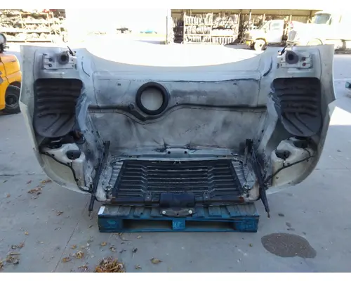 FREIGHTLINER CASCADIA 113 HOOD