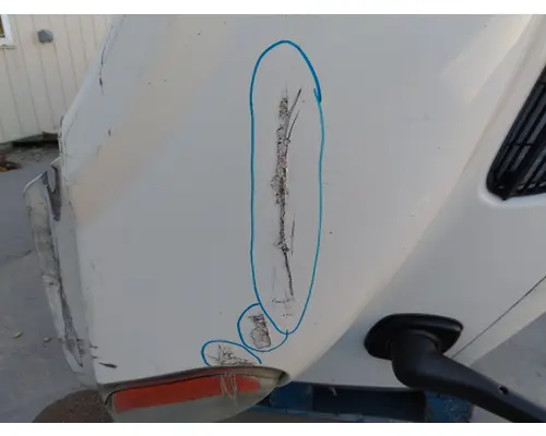 FREIGHTLINER CASCADIA 113 HOOD