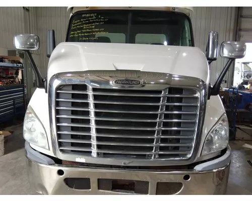 FREIGHTLINER CASCADIA 113 HOOD