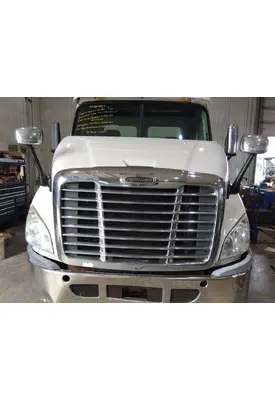 FREIGHTLINER CASCADIA 113 HOOD