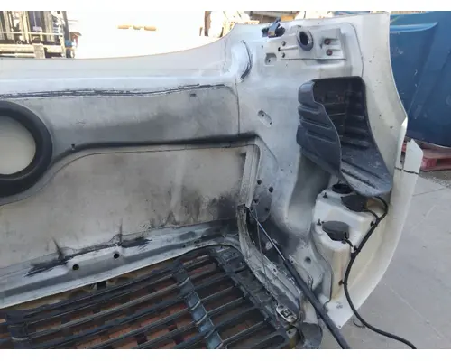 FREIGHTLINER CASCADIA 113 HOOD