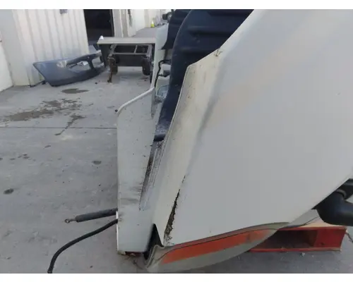 FREIGHTLINER CASCADIA 113 HOOD