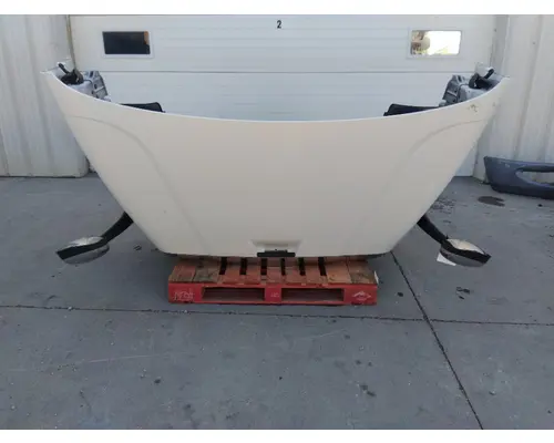 FREIGHTLINER CASCADIA 113 HOOD