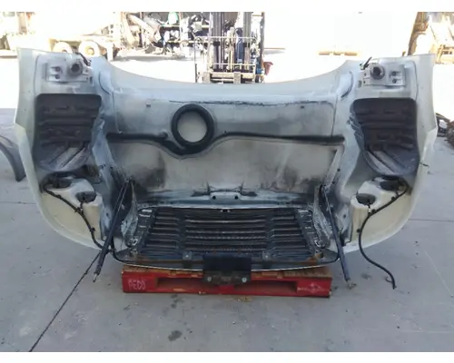 FREIGHTLINER CASCADIA 113 HOOD