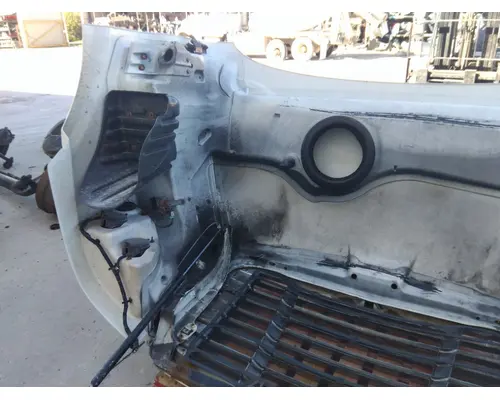 FREIGHTLINER CASCADIA 113 HOOD