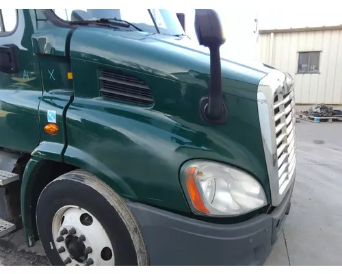 FREIGHTLINER CASCADIA 113 HOOD