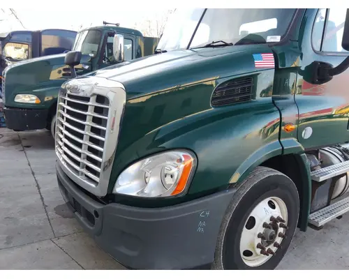 FREIGHTLINER CASCADIA 113 HOOD