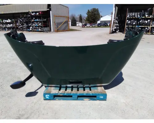 FREIGHTLINER CASCADIA 113 HOOD