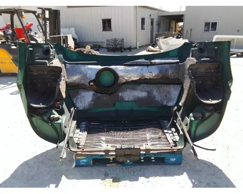 FREIGHTLINER CASCADIA 113 HOOD