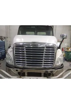 FREIGHTLINER CASCADIA 113 HOOD