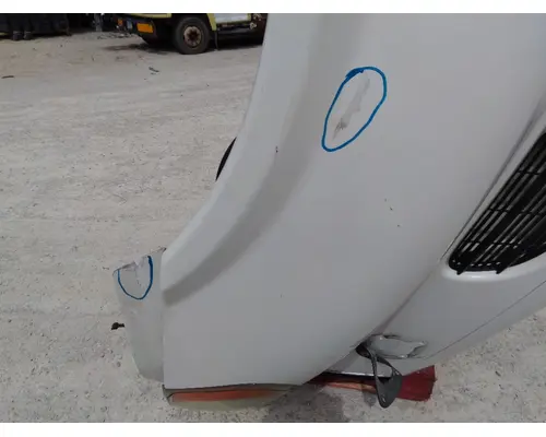 FREIGHTLINER CASCADIA 113 HOOD
