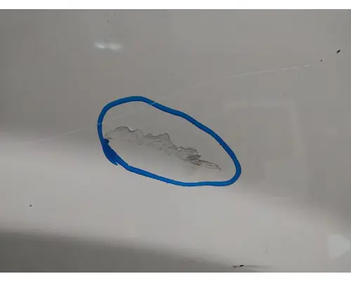 FREIGHTLINER CASCADIA 113 HOOD