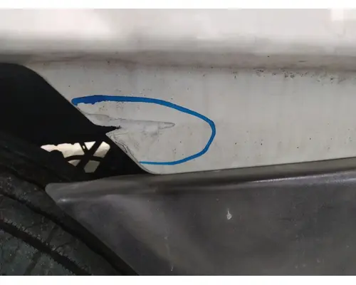 FREIGHTLINER CASCADIA 113 HOOD