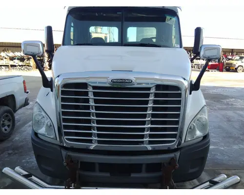 FREIGHTLINER CASCADIA 113 HOOD