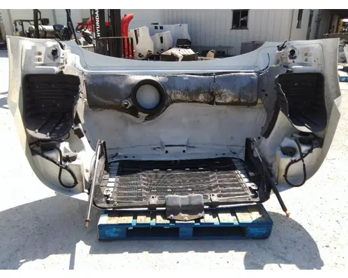 FREIGHTLINER CASCADIA 113 HOOD