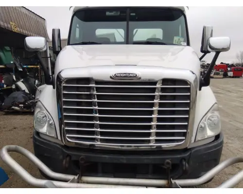 FREIGHTLINER CASCADIA 113 HOOD