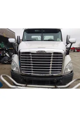 FREIGHTLINER CASCADIA 113 HOOD