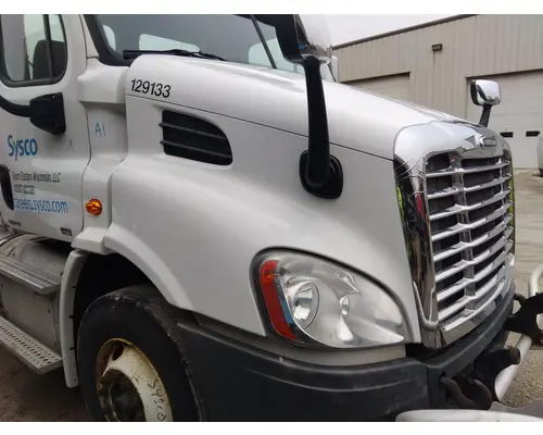 FREIGHTLINER CASCADIA 113 HOOD
