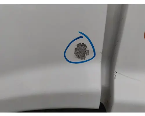 FREIGHTLINER CASCADIA 113 HOOD