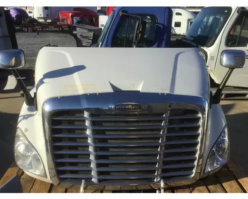 FREIGHTLINER CASCADIA 113 HOOD