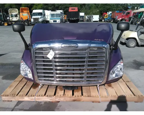 FREIGHTLINER CASCADIA 113 HOOD
