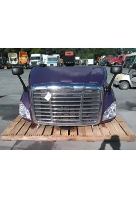 FREIGHTLINER CASCADIA 113 HOOD