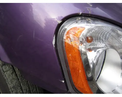 FREIGHTLINER CASCADIA 113 HOOD