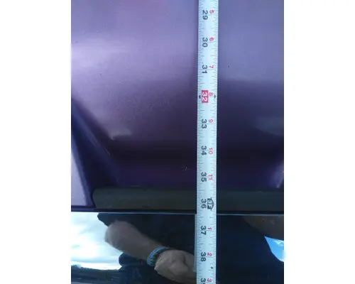 FREIGHTLINER CASCADIA 113 HOOD