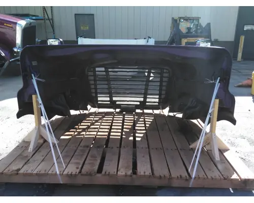 FREIGHTLINER CASCADIA 113 HOOD