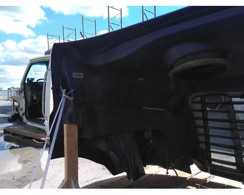 FREIGHTLINER CASCADIA 113 HOOD