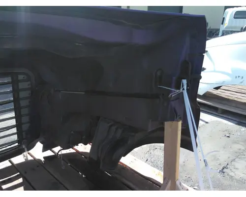 FREIGHTLINER CASCADIA 113 HOOD