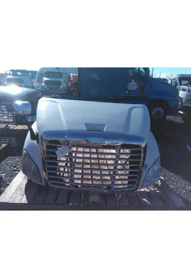 FREIGHTLINER CASCADIA 113 HOOD