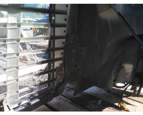 FREIGHTLINER CASCADIA 113 HOOD