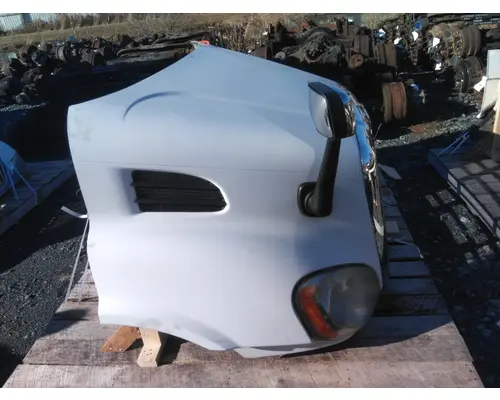 FREIGHTLINER CASCADIA 113 HOOD