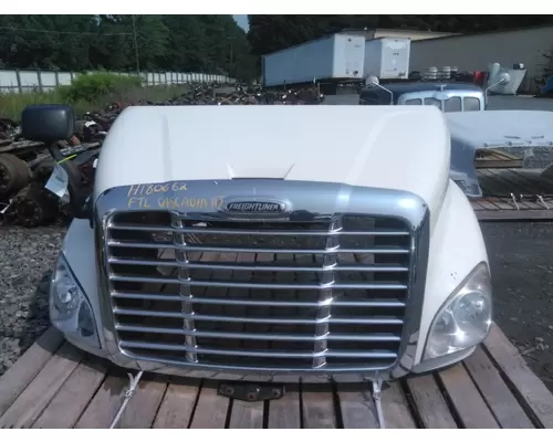 FREIGHTLINER CASCADIA 113 HOOD