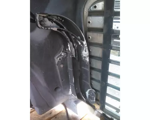 FREIGHTLINER CASCADIA 113 HOOD