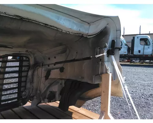 FREIGHTLINER CASCADIA 113 HOOD