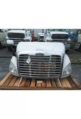 FREIGHTLINER CASCADIA 113 HOOD