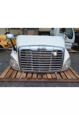 FREIGHTLINER CASCADIA 113 HOOD