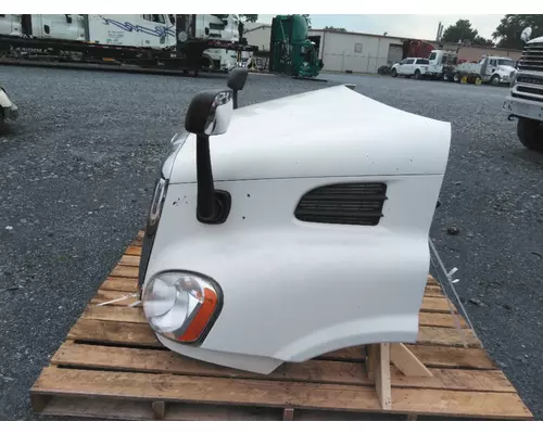 FREIGHTLINER CASCADIA 113 HOOD