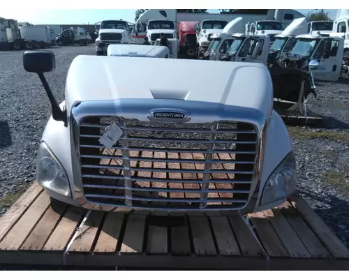 FREIGHTLINER CASCADIA 113 HOOD