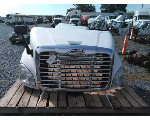 FREIGHTLINER CASCADIA 113 HOOD