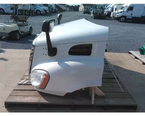 FREIGHTLINER CASCADIA 113 HOOD