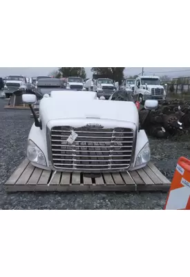 FREIGHTLINER CASCADIA 113 HOOD